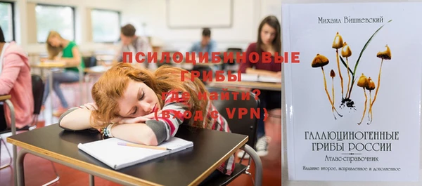 спайс Абинск
