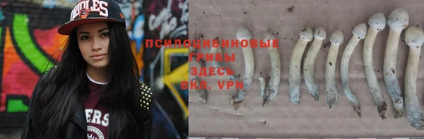 не бодяженный Абаза