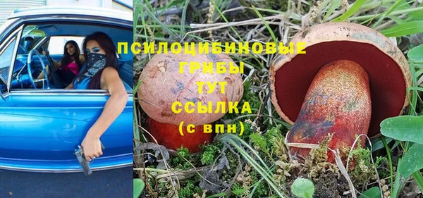 spice Абдулино