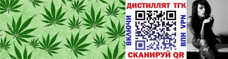 сколько стоит  Котовск  ТГК концентрат 