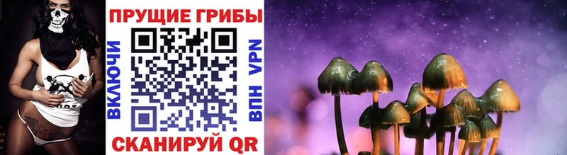 Псилоцибиновые грибы Psilocybe  Котовск 