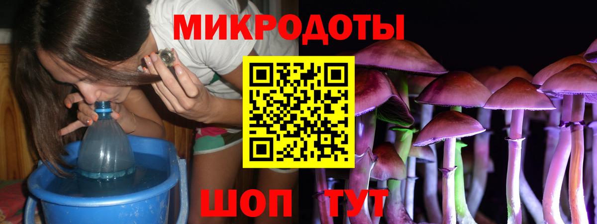 Котовск  Галлюциногенные грибы GOLDEN TEACHER  наркота  Вход с VPN  Галлюциногенные грибы GOLDEN TEACHER 