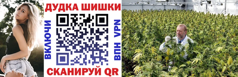 Каннабис гибрид  наркота  блэк спрут рабочий сайт  Котовск 